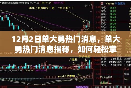 揭秘单大勇热门消息，掌握关键资讯与技能进阶指南（12月2日）