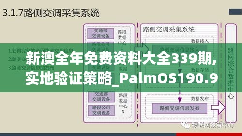 新澳全年免费资料大全339期,实地验证策略_PalmOS190.902-5