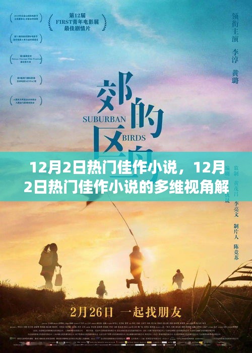 12月2日热门佳作小说及其多维视角解读