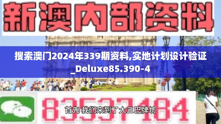 搜索澳门2024年339期资料,实地计划设计验证_Deluxe85.390-4