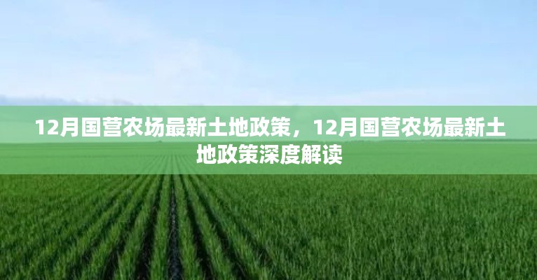 12月国营农场最新土地政策解读与深度分析
