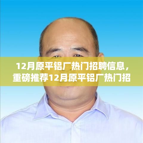 虫言鸟迹 第4页
