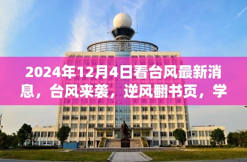 关于我们 第377页