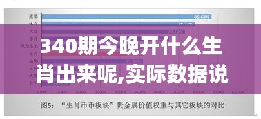 340期今晚开什么生肖出来呢,实际数据说明_yShop2.807
