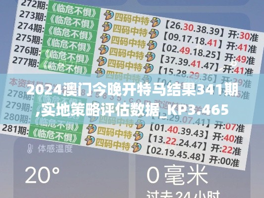 2024澳门今晚开特马结果341期,实地策略评估数据_KP3.465
