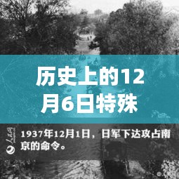 探寻历史特殊日子与自然美景之旅，宁静中的自我找寻——历史上的特殊日子回顾与最新探寻片