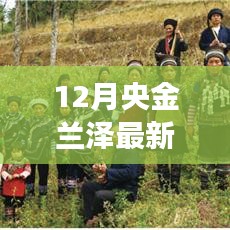 网店开店宝APP 第358页