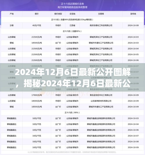 揭秘2024年12月6日最新公开图解，背景、事件与深度影响分析
