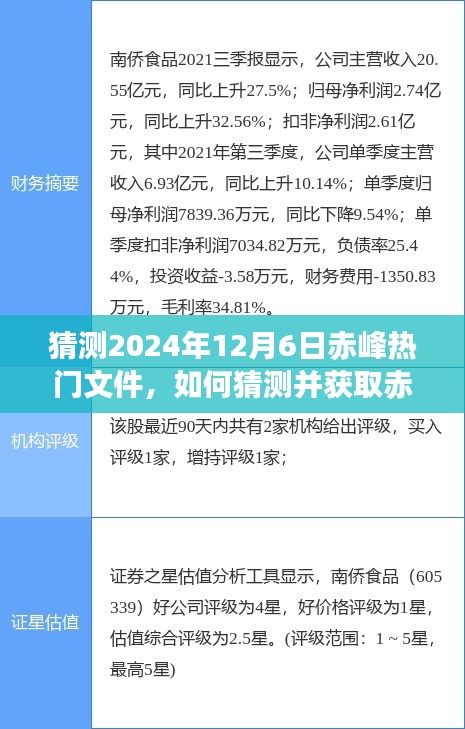 如何猜测并获取赤峰热门文件，详细步骤指南（适用于初学者与进阶用户，预测至2024年12月6日）