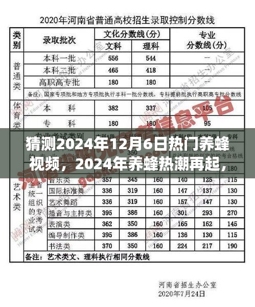 网店开店宝APP 第356页