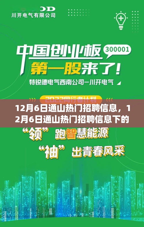 12月6日通山热门招聘信息，职场机遇与挑战一览