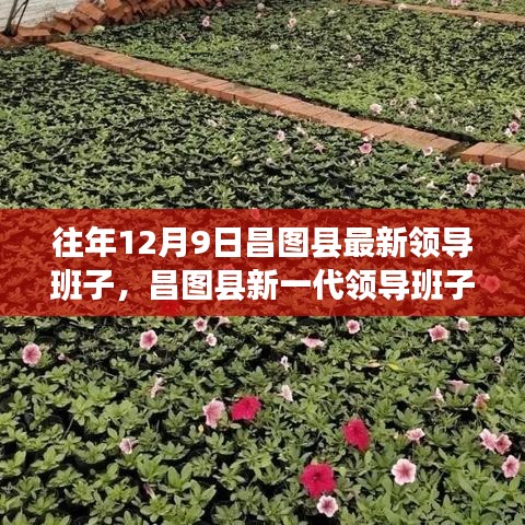 惨淡经营 第4页