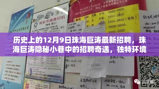 林下风范 第4页