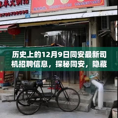 不飞则已 第3页