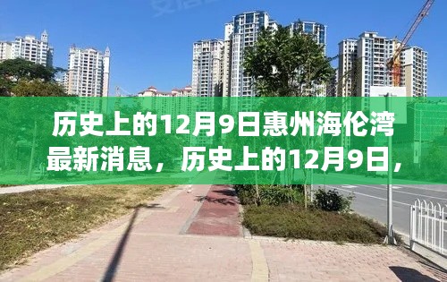 历史上的12月9日惠州海伦湾最新消息，历史上的12月9日，惠州海伦湾全面解读与最新消息深度评测