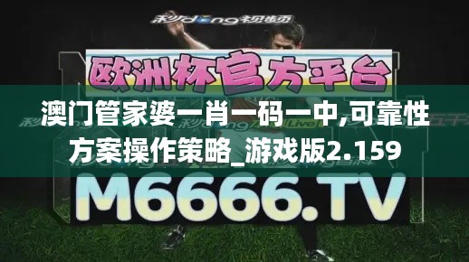 澳门管家婆一肖一码一中,可靠性方案操作策略_游戏版2.159