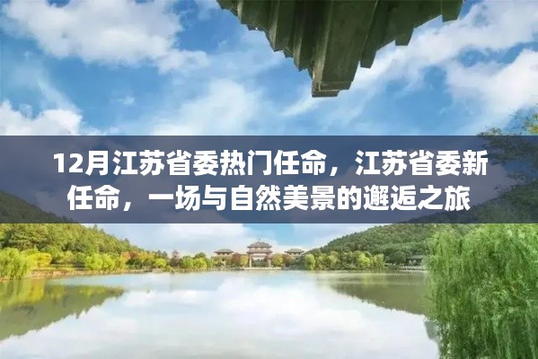 江苏省委十二月新任命，与自然美景的邂逅之旅