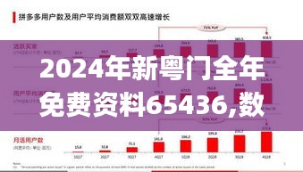 2024年新粤门全年免费资料65436,数据导向实施策略_VR版9.672