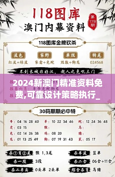 2024新澳门精准资料免费,可靠设计策略执行_精英版3.251