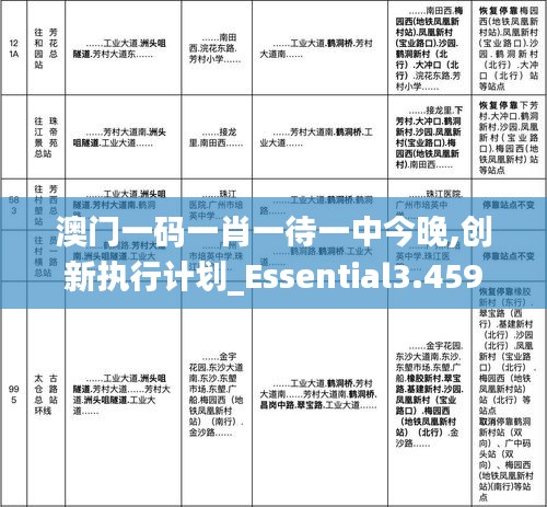 澳门一码一肖一待一中今晚,创新执行计划_Essential3.459