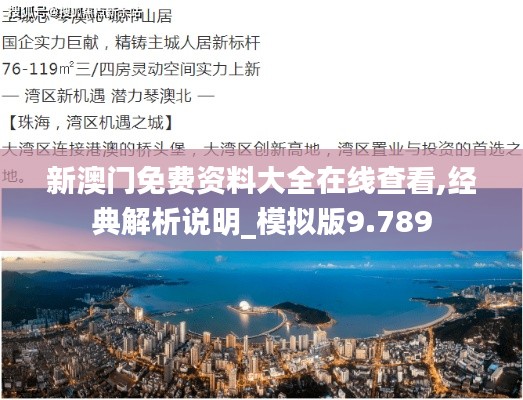 新澳门免费资料大全在线查看,经典解析说明_模拟版9.789