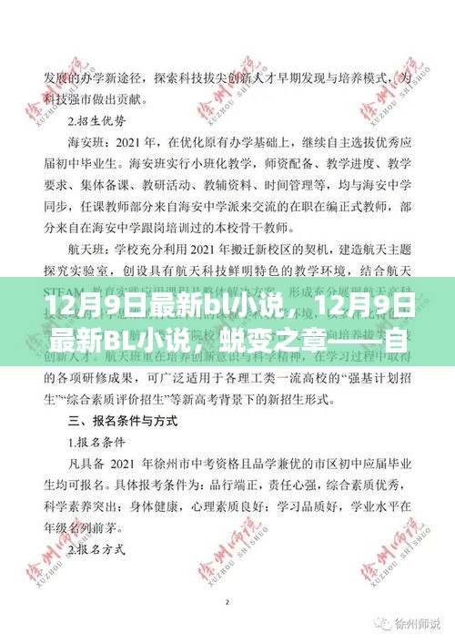 12月9日最新BL小说蜕变之章，自信与成就感的魔法之旅