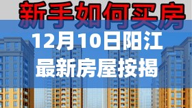 阳江房屋按揭出售指南，全流程详解，适合初学者与进阶用户