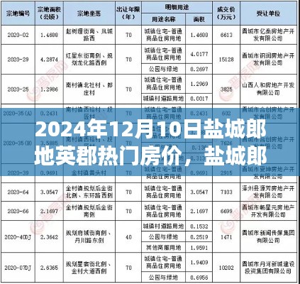 盐城郎地英郡房价详解及最新购房信息获取指南（初学者与进阶用户指南）