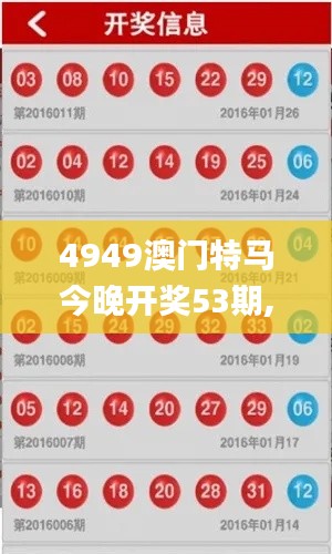 4949澳门特马今晚开奖53期,实践性计划推进_高级版6.171