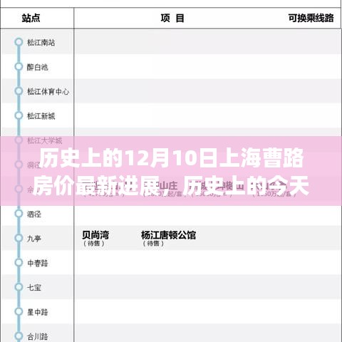 历史上的今天，上海曹路房价最新进展深度解析——12月10日房价动态观察