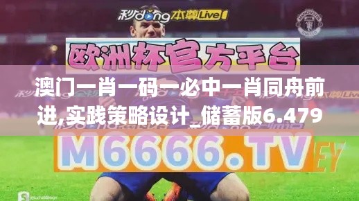 澳门一肖一码一必中一肖同舟前进,实践策略设计_储蓄版6.479