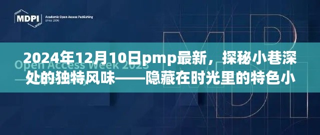 探秘小巷深处的独特风味，特色小店与PMP最新动态揭秘