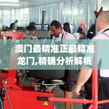 澳门最精准正最精准龙门,精确分析解析说明_复古版2.672