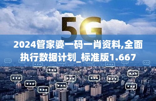 2024管家婆一码一肖资料,全面执行数据计划_标准版1.667