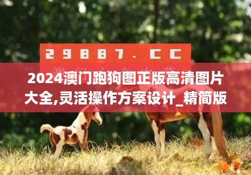 2024澳门跑狗图正版高清图片大全,灵活操作方案设计_精简版10.105