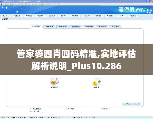 管家婆四肖四码精准,实地评估解析说明_Plus10.286