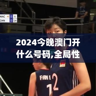 2024今晚澳门开什么号码,全局性策略实施协调_交互版16.920