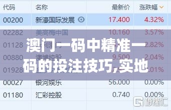 澳门一码中精准一码的投注技巧,实地评估策略_2D8.831