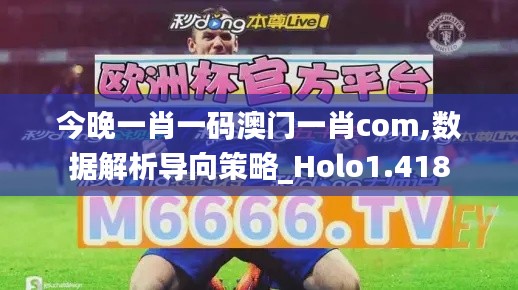 今晚一肖一码澳门一肖com,数据解析导向策略_Holo1.418
