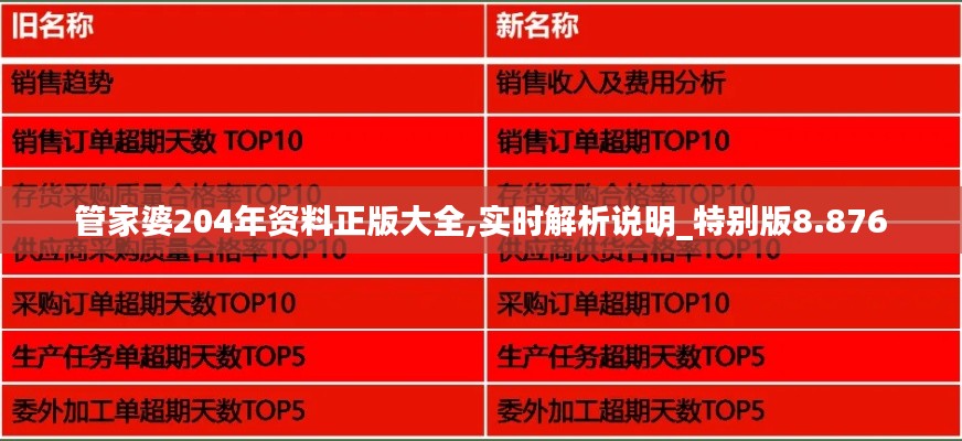 管家婆204年资料正版大全,实时解析说明_特别版8.876