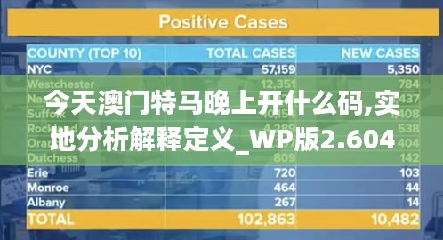草率收兵 第4页