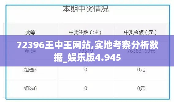 72396王中王网站,实地考察分析数据_娱乐版4.945