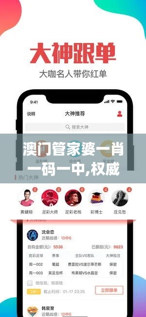 澳门管家婆一肖一码一中,权威说明解析_高级版7.920