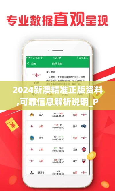 2024新澳精准正版资料,可靠信息解析说明_Pixel5.243