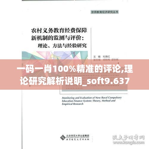 一码一肖100%精准的评论,理论研究解析说明_soft9.637