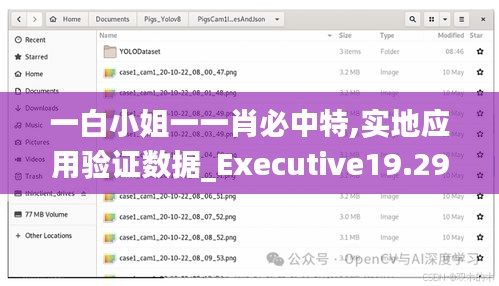 一白小姐一一肖必中特,实地应用验证数据_Executive19.292