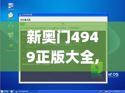 新奥门4949正版大全,高效说明解析_macOS1.383