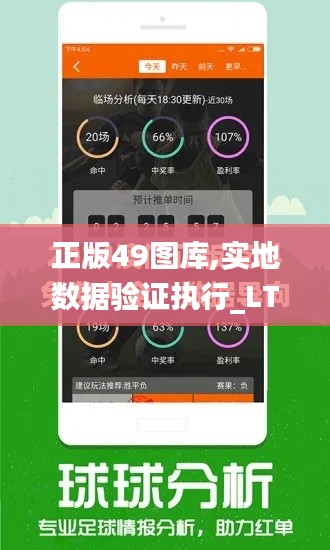 正版49图库,实地数据验证执行_LT1.362