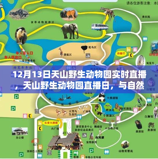 鸟面鹄形 第4页
