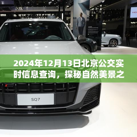 探秘自然美景之旅，北京公交实时信息查询指南（日期，XXXX年XX月XX日）
